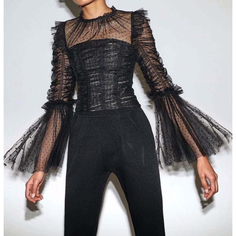 NWOT and PRICED TO SELL: Self Portrait Mesh Angel Long Sleeve Tulle Blouse top